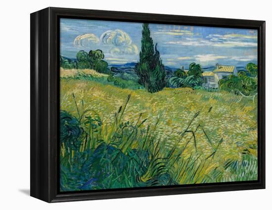 Green Wheat, 1889-Vincent van Gogh-Framed Premier Image Canvas