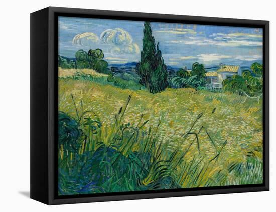 Green Wheat, 1889-Vincent van Gogh-Framed Premier Image Canvas