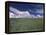 Green Wheat Field, Clouds, Agriculture Fruitland, Idaho, USA-Gerry Reynolds-Framed Premier Image Canvas