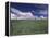 Green Wheat Field, Clouds, Agriculture Fruitland, Idaho, USA-Gerry Reynolds-Framed Premier Image Canvas