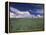 Green Wheat Field, Clouds, Agriculture Fruitland, Idaho, USA-Gerry Reynolds-Framed Premier Image Canvas