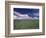 Green Wheat Field, Clouds, Agriculture Fruitland, Idaho, USA-Gerry Reynolds-Framed Photographic Print