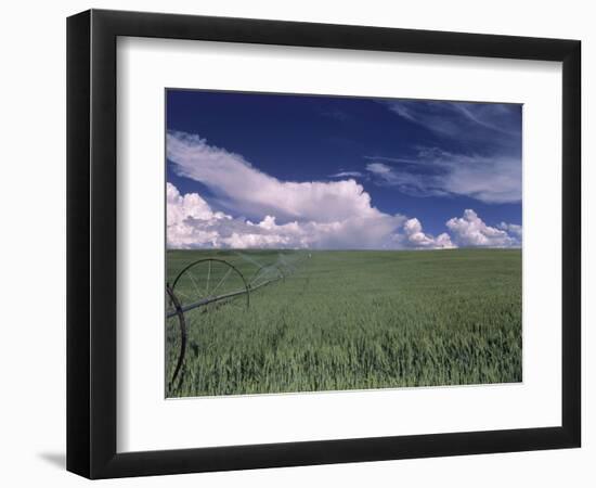 Green Wheat Field, Clouds, Agriculture Fruitland, Idaho, USA-Gerry Reynolds-Framed Photographic Print