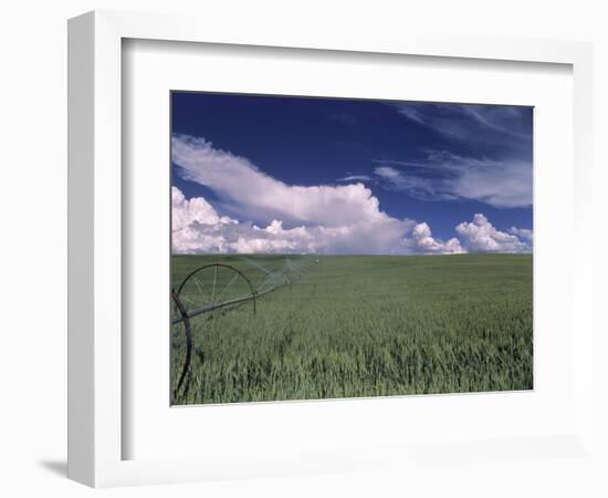 Green Wheat Field, Clouds, Agriculture Fruitland, Idaho, USA-Gerry Reynolds-Framed Photographic Print