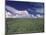 Green Wheat Field, Clouds, Agriculture Fruitland, Idaho, USA-Gerry Reynolds-Mounted Photographic Print