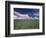 Green Wheat Field, Clouds, Agriculture Fruitland, Idaho, USA-Gerry Reynolds-Framed Photographic Print