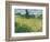 Green Wheat Field with Cypress-Vincent van Gogh-Framed Giclee Print