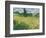 Green Wheat Field with Cypress-Vincent van Gogh-Framed Giclee Print