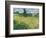 Green Wheat Field with Cypress-Vincent van Gogh-Framed Giclee Print