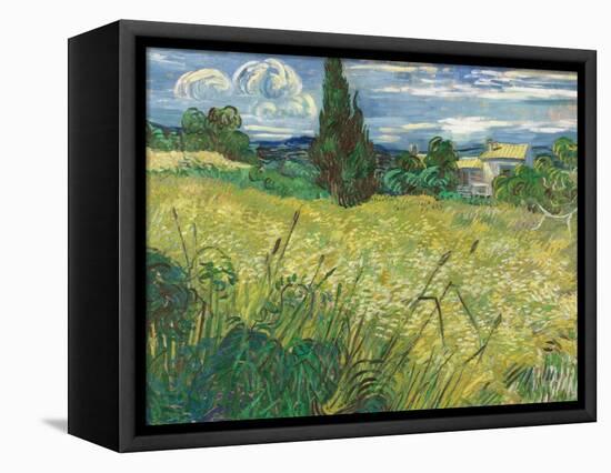 Green Wheat Field with Cypress-Vincent van Gogh-Framed Premier Image Canvas