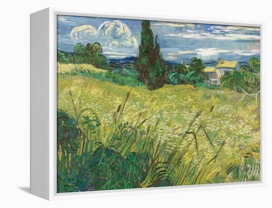 Green Wheat Field with Cypress-Vincent van Gogh-Framed Premier Image Canvas