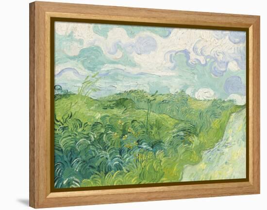 Green Wheat Fields, Auvers, 1890-Vincent van Gogh-Framed Premier Image Canvas