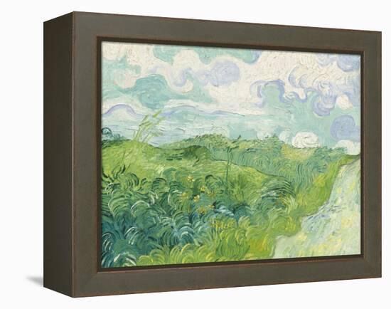 Green Wheat Fields, Auvers, 1890-Vincent van Gogh-Framed Premier Image Canvas