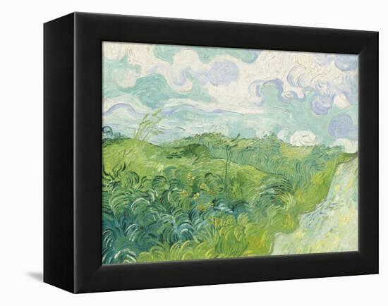 Green Wheat Fields, Auvers, 1890-Vincent van Gogh-Framed Premier Image Canvas