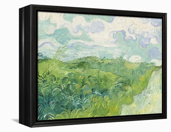 Green Wheat Fields, Auvers, 1890-Vincent van Gogh-Framed Premier Image Canvas