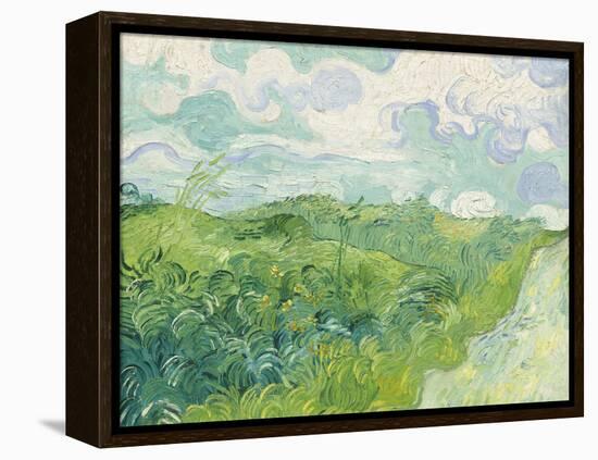 Green Wheat Fields, Auvers, 1890-Vincent van Gogh-Framed Premier Image Canvas