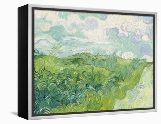 Green Wheat Fields, Auvers, 1890-Vincent van Gogh-Framed Premier Image Canvas