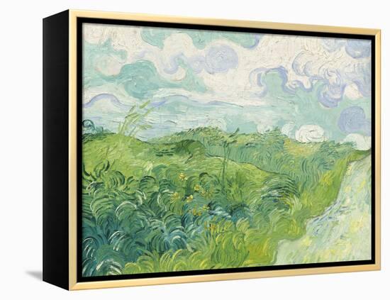 Green Wheat Fields, Auvers, 1890-Vincent van Gogh-Framed Premier Image Canvas