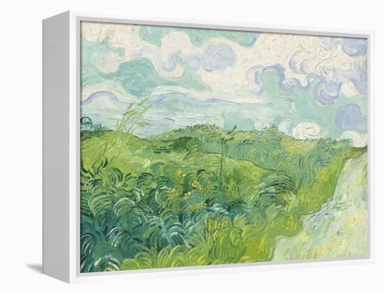 Green Wheat Fields, Auvers, 1890-Vincent van Gogh-Framed Premier Image Canvas