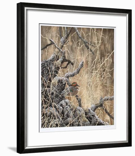 Green Winged Teal-Chris Forrest-Framed Limited Edition