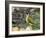 Green Woodpecker Male Alert Posture Among Apples on Ground, Hertfordshire, UK, January-Andy Sands-Framed Photographic Print