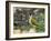 Green Woodpecker Male Alert Posture Among Apples on Ground, Hertfordshire, UK, January-Andy Sands-Framed Photographic Print