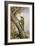 Green Woodpecker-Carl Donner-Framed Giclee Print