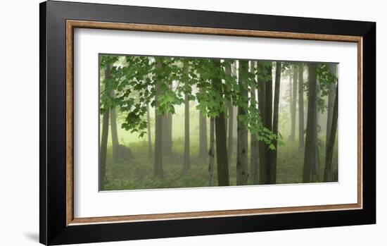 Green Woods-Orah Moore-Framed Art Print