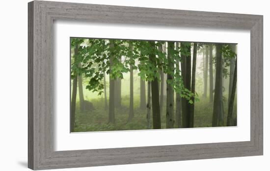 Green Woods-Orah Moore-Framed Art Print