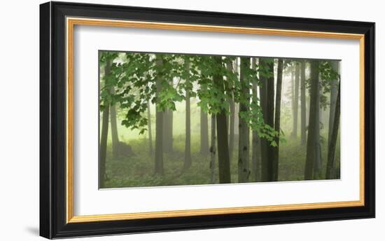 Green Woods-Orah Moore-Framed Art Print