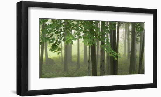 Green Woods-Orah Moore-Framed Art Print