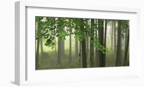 Green Woods-Orah Moore-Framed Art Print