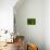 Green World-Irene Suchocki-Photographic Print displayed on a wall