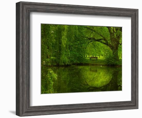 Green World-Irene Suchocki-Framed Photographic Print