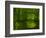 Green World-Irene Suchocki-Framed Photographic Print