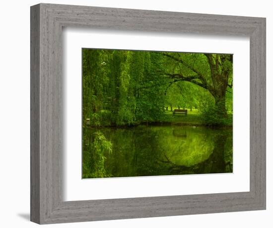 Green World-Irene Suchocki-Framed Photographic Print