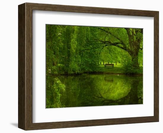 Green World-Irene Suchocki-Framed Photographic Print