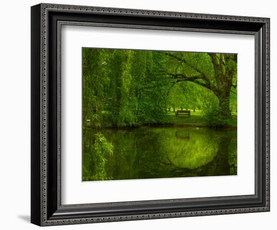 Green World-Irene Suchocki-Framed Photographic Print