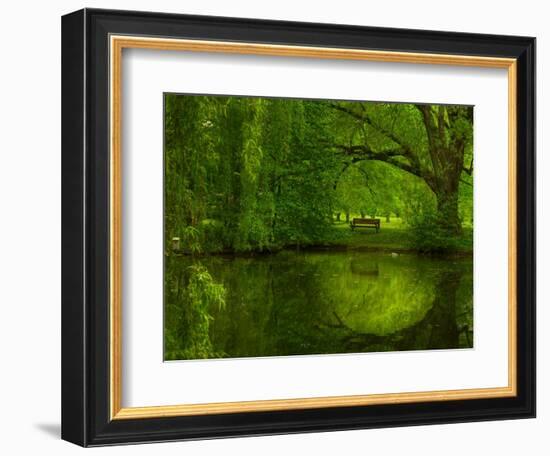 Green World-Irene Suchocki-Framed Photographic Print