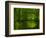 Green World-Irene Suchocki-Framed Photographic Print