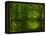 Green World-Irene Suchocki-Framed Premier Image Canvas