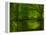 Green World-Irene Suchocki-Framed Premier Image Canvas