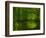 Green World-Irene Suchocki-Framed Premium Photographic Print