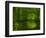 Green World-Irene Suchocki-Framed Premium Photographic Print