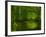 Green World-Irene Suchocki-Framed Premium Photographic Print