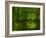 Green World-Irene Suchocki-Framed Photographic Print