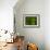 Green World-Irene Suchocki-Framed Photographic Print displayed on a wall