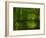 Green World-Irene Suchocki-Framed Photographic Print