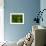 Green World-Irene Suchocki-Framed Photographic Print displayed on a wall