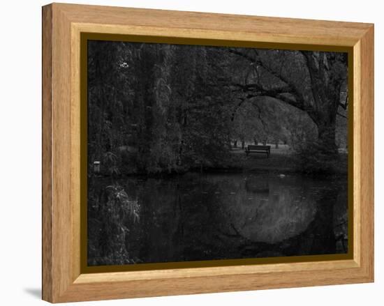 Green World-Irene Suchocki-Framed Premier Image Canvas